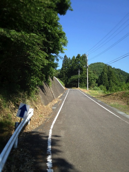 A quiet paved road curving through a green hillside with power lines and a retaining wall under a bright blue sky